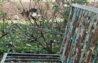 Tenuta Agriturismo La Borina - Foto 100