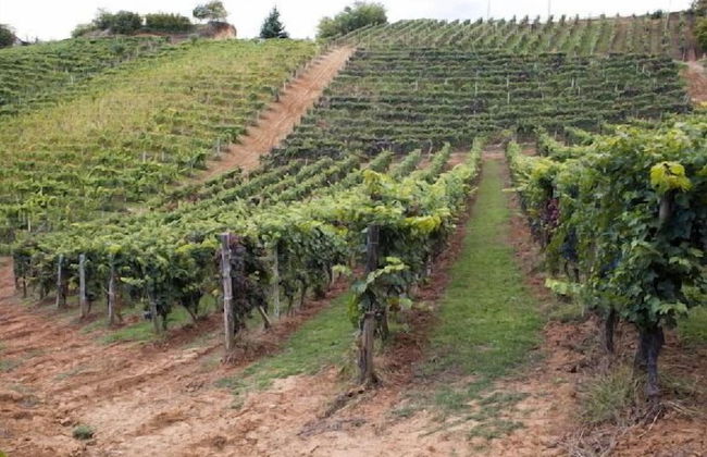 Casa Isabella - Foto 44