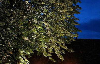 Stone House With Pool And Views In The Perche - Foto 19