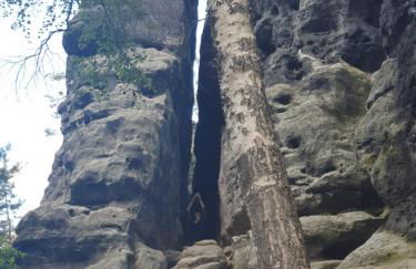 Fewo-hierundjetzt Lichtenhain bei Sebnitz am Malerweg - Foto 26