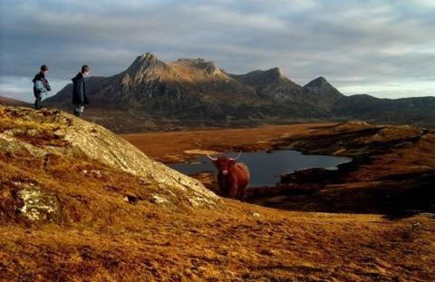 The Wee Housie, Talmine - Foto 21