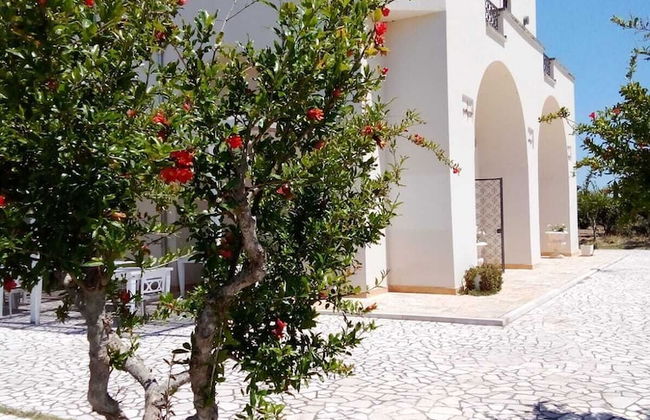 Tenuta Gli Agrumi del Salento - Photo 14