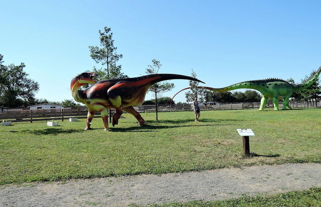 Holiday Home Near Baltic Sea and Nature Reserve - Photo 17