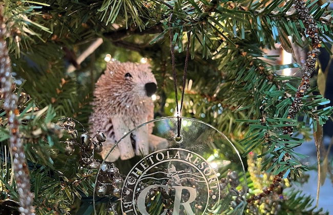 Chetola Premier Condominiums - Foto 3