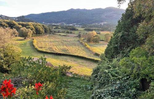 Celebration or Event & Stay at Casa dos Macieis, Private Pool, Camino Santiago direct access & Optional Agritourism - Foto 44