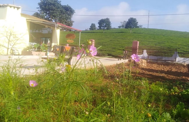 Homestay Lang Che 69 - Foto 20