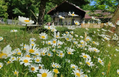 Altes Forsthaus Bodenmais - Foto 21