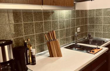 Fewo mit toller Dachterrasse & Bademantelgang zur Wohlfühltherme im neuen Stil - Foto 15