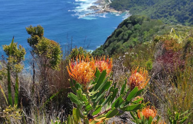 Beachfront Villa Africa Queen Jeffreys - Photo 71