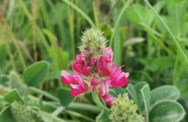 Poggio Giulia - Foto 55