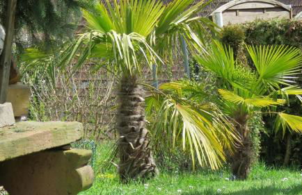 Das blaue Haus - Foto 22