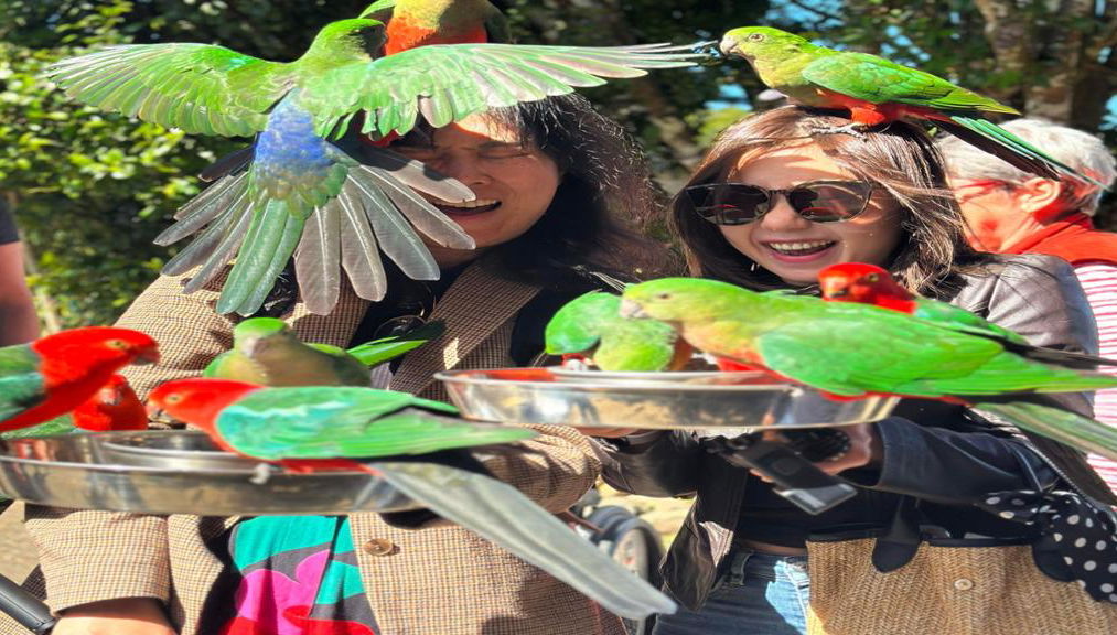 Ganztagesausflug - Lamington National Park, O'Reillys und Weingut - Foto 2