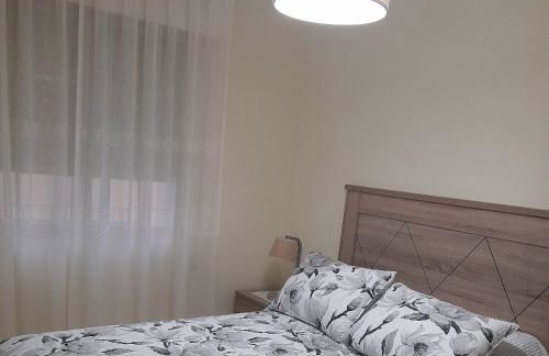 Aloha Barreiros - Foto 7