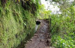 Casa da Tia Clementina - Foto 45