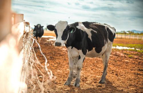 Casa Barbera at Tirrito Farm - Foto 12