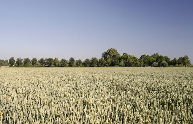 Cosy Flat in South Limburg Near Maastricht - Foto 79