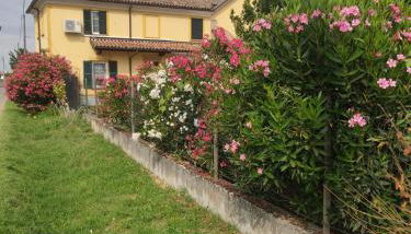 Cascina Angelina - Photo 2