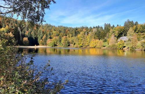 Forsthauswohnung im Schwarzwald - Foto 38
