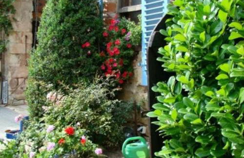 Ferienwohnung TOSCANA - Foto 7