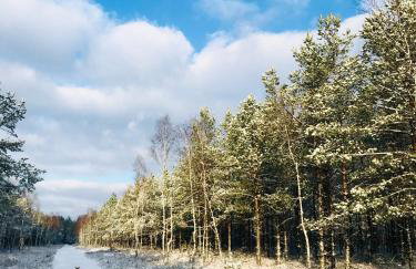 Domek Walentinki - Foto 28