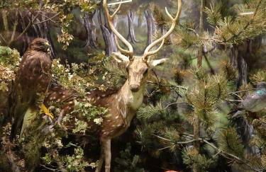 COMBI HOUSE - Foto 35