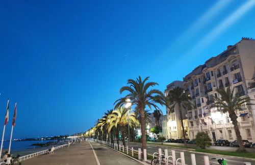 Appartement 3 PIECES NICE Promenade - Foto 30