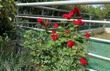 Hilltop Sea View - Foto 39