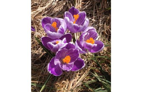 Apartment at the Knappensee in Gross Sarchen - Foto 59