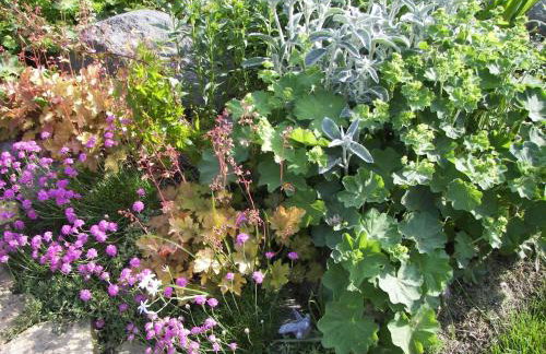 Apartment in ruhiger Lage am Waldrand by Interhome - Photo 14