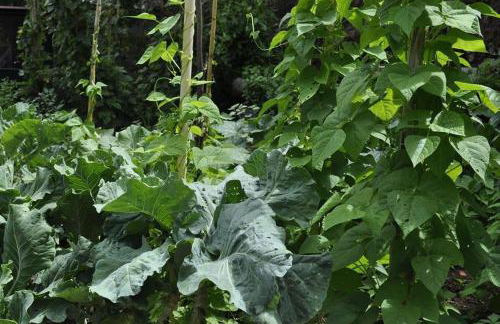 Quinta O Refúgio - Foto 63