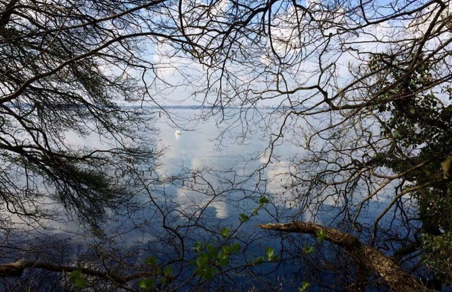 Cathedral Whispers Modern Retreat - Foto 3