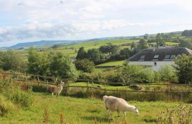 The Coach House at Durhamhill with llamas & games room mini cinema - Foto 6