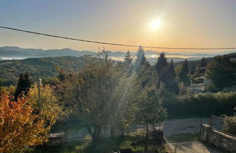 Forest House - Photo 20