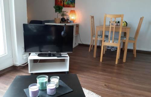 Soundproof Studio Geneva Airport 10 min and UN 20 min - Foto 7