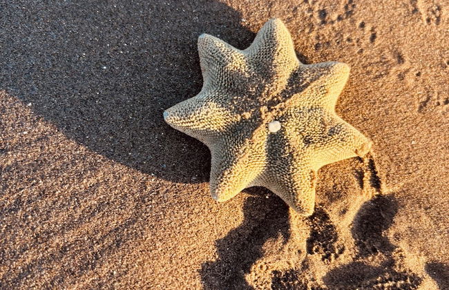 Sumner Bay Motel & Apartments - Foto 58