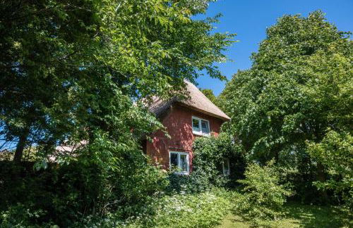 Fewo Silke Dethlefsen - Foto 11