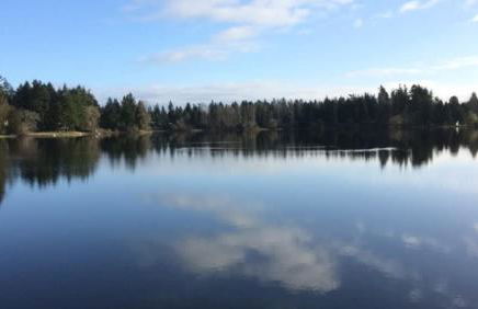 Condo with king bed, walk to Microsoft & park - Foto 26