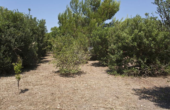 VilleSalento - Spiaggiabella M700 - Foto 30