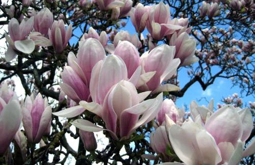 Willkommen im Herzen des Allgäus! - Photo 37