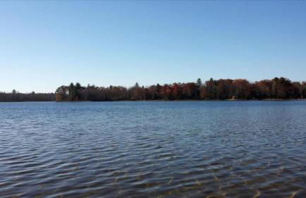 Rustic Cabin on the Shores of Pine Lake, Michigan - Foto 14
