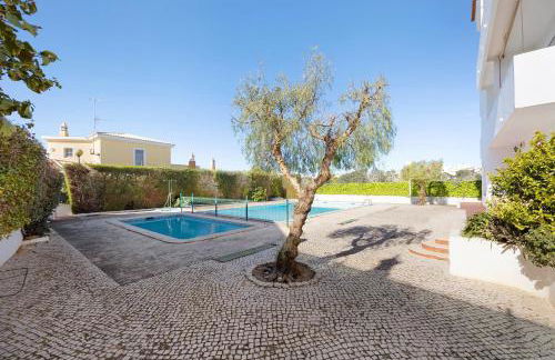 Dreamalvor - Foto 24