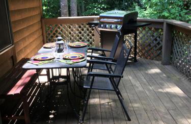 Top of the Line Asheville Mountain Cabin - Foto 66