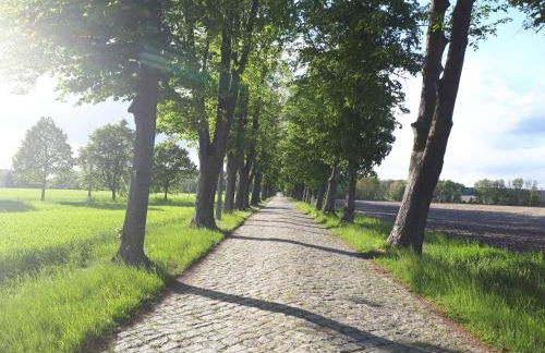 Pension Marina - Foto 34