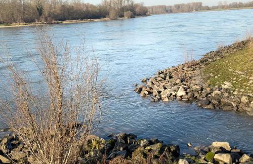 Ferienhaus Hoffmann am Rheinbogen - Foto 35