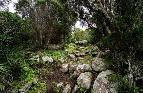 Casa PEPPINA - Foto 28