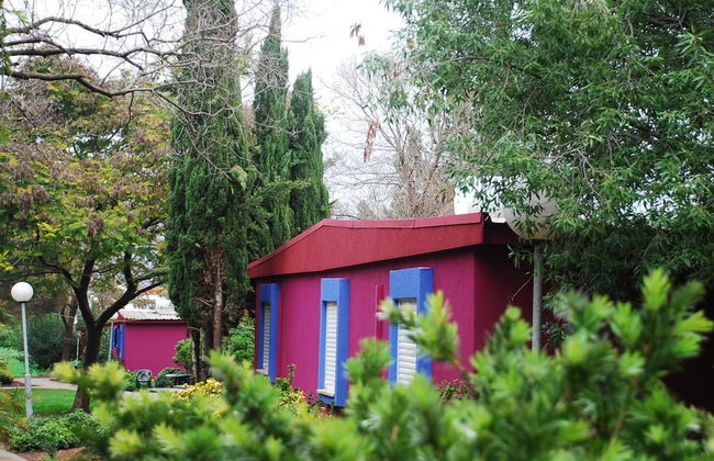 Mizra Guest House - Foto 20