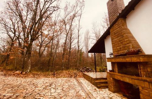 Arnaia Forest Villa - Photo 41