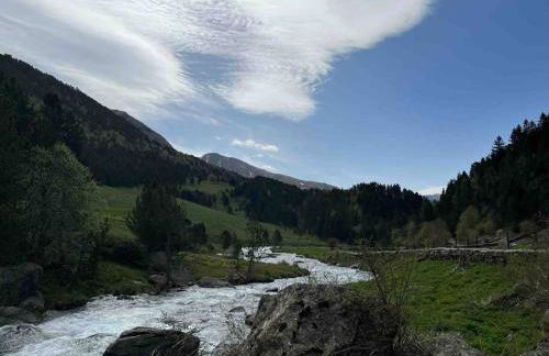 Apartamento familiar en Benasque - Photo 42