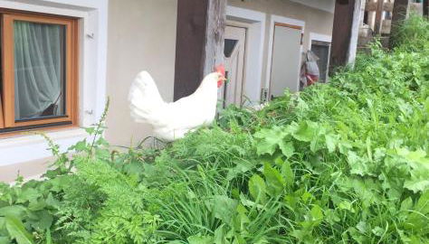 Gstattlhof Mountain Farmhouse - Foto 4, Garden