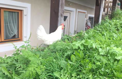 Gstattlhof Mountain Farmhouse - Foto 4